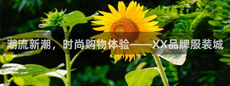 乐发彩票娱乐平台