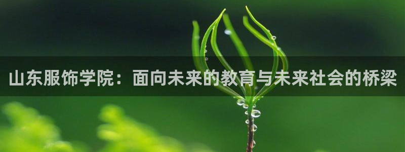 乐发xl彩票平台正规不