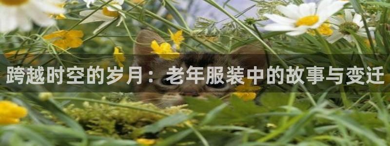 乐发体育平台怎么样啊