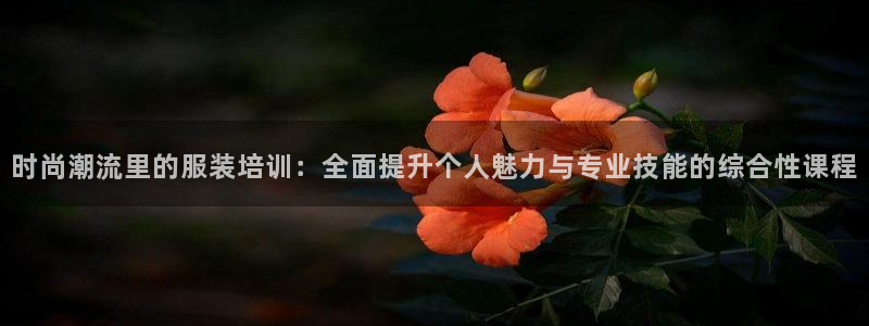乐发平台网址是什么