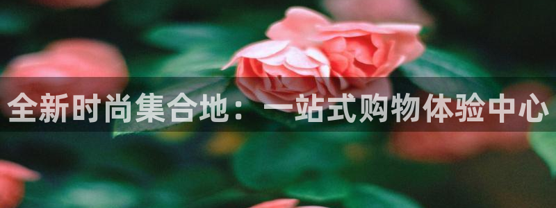 乐发旗下的平台有多少个