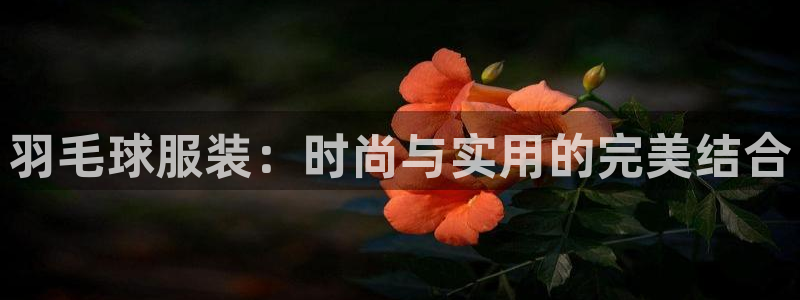 乐发传媒是正规平台吗