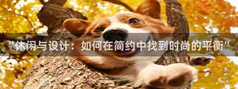 乐发快3大小单双平台