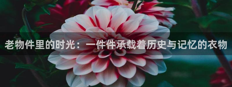 乐发平台是干什么的
