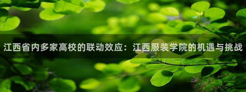 乐发邀请码平台有哪些