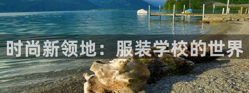 乐发彩票登录平台官网