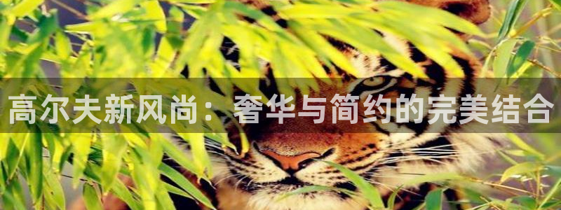 乐发彩票vll平台