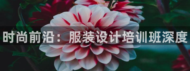 乐发平台邀请码合集