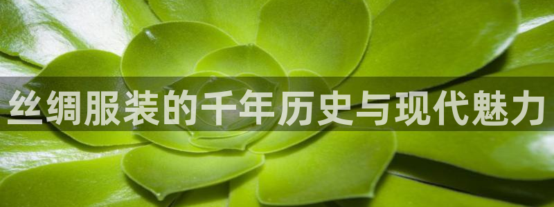 乐发彩票平台网址是多少