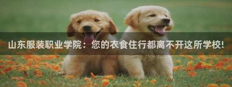 乐发彩票平台wx17 com