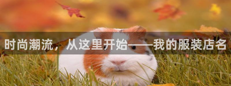 乐发平台下载官网网址