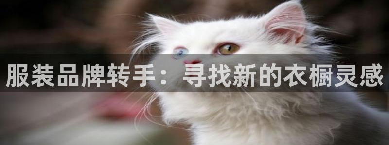 乐发彩票平台入口在哪