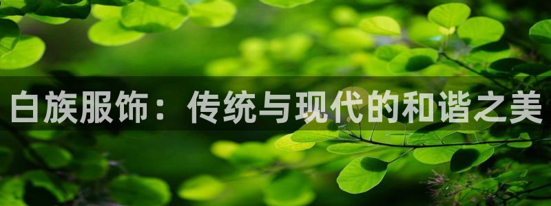 乐发彩票最新平台app
