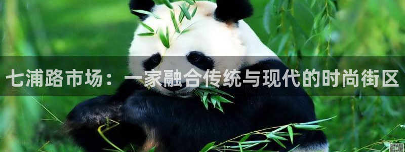 乐信短信平台文案怎么发