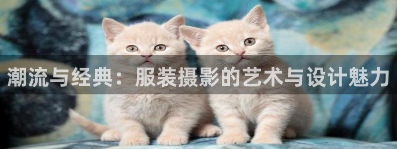 乐发平台是正规的吗