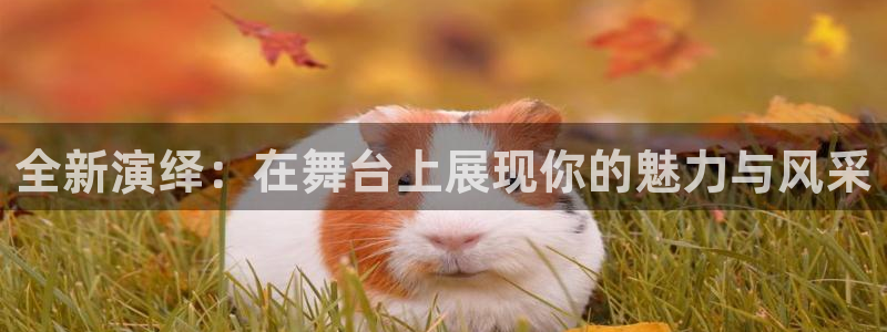 必乐2平台发