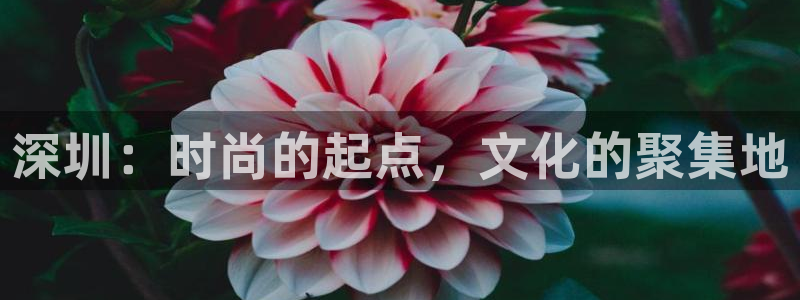 乐发彩票官网登录平台