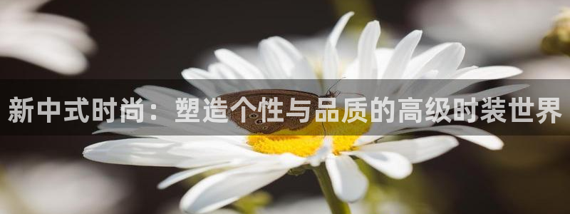 乐发彩票官网登录平台