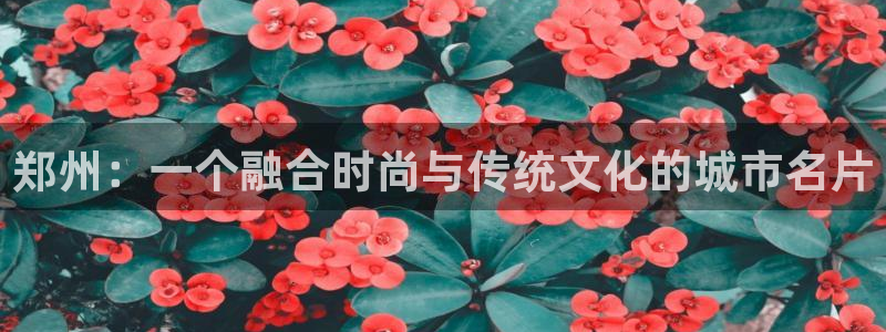 乐发1平台下载安装