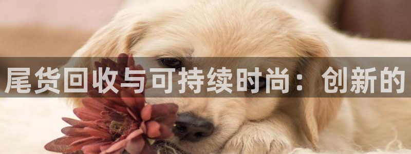 乐发平台出来的时间