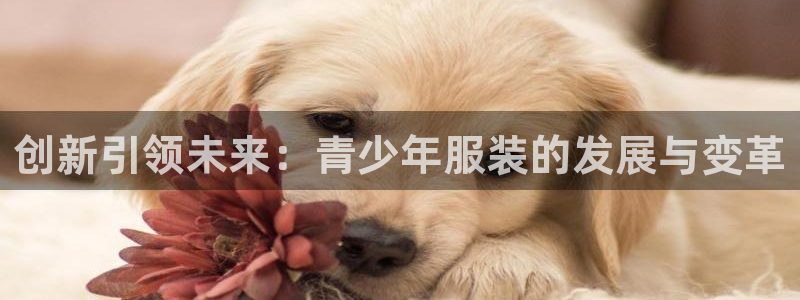 乐发平台下载安装