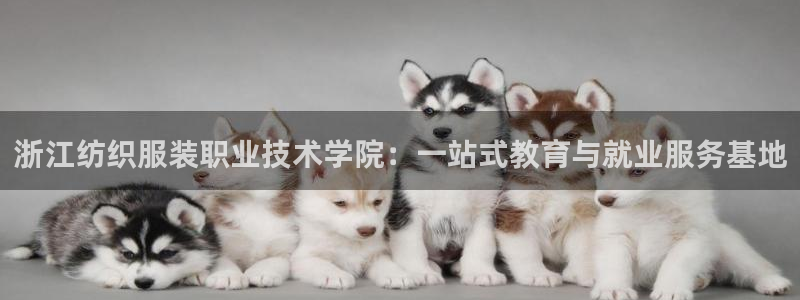 彩票乐发III购彩平台