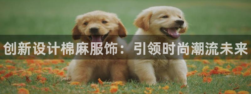 乐发体育平台怎么样啊