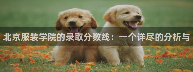 乐发彩票登录平台官网