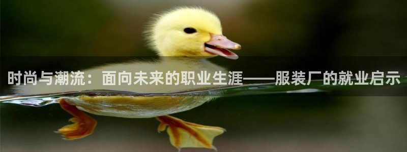 乐发彩票全国直播平台