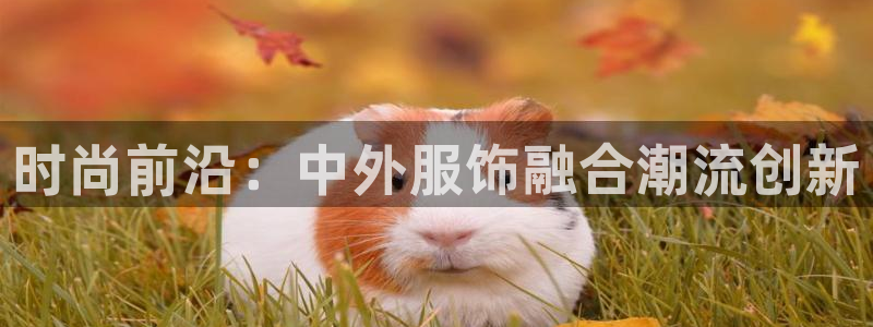 乐发传媒是个什么平台