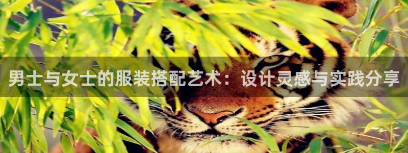 乐发是大平台吗