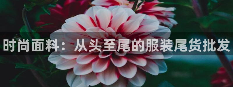 乐发平台彩票怎么兑奖