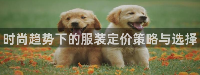 乐发平台官网邀请码