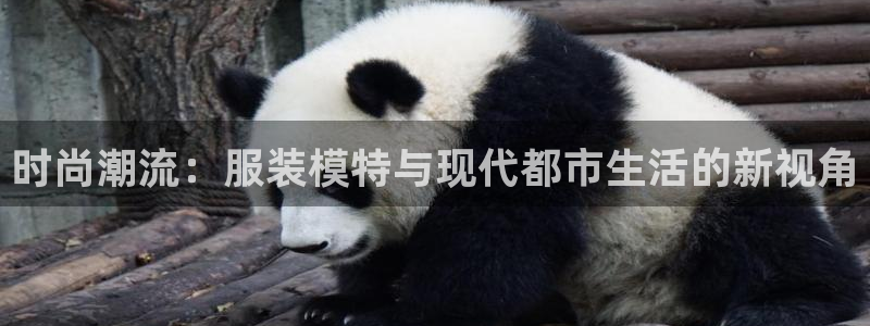 乐发平台下载app