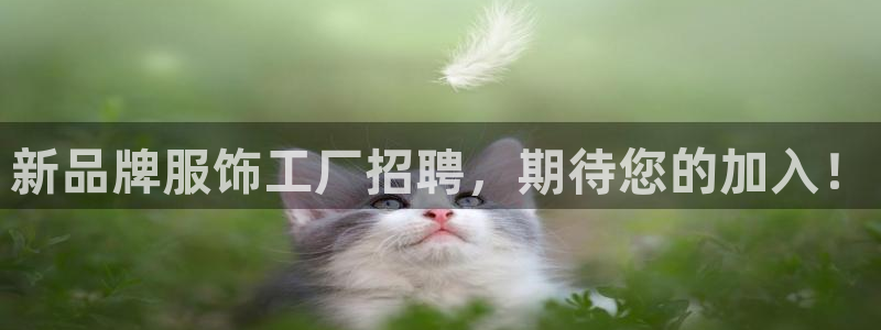 乐发VIII平台免费版