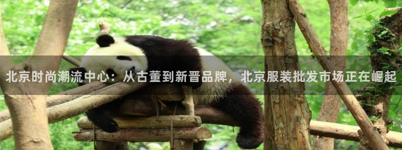 乐发lx这个平台怎么样