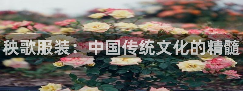 乐发iii平台优点